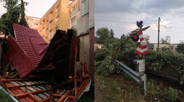 Codul portocaliu de vijelii face ravagii: O fată de 6 ani a murit strivită de un copac în Mureș, casele au rămas fără acoperișuri în Cluj