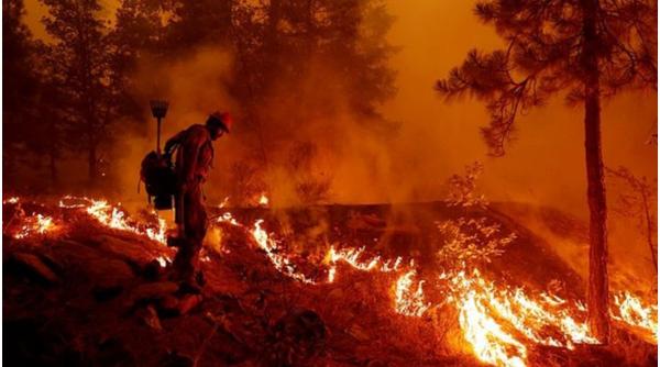Incendiile fac ravagii în sudul Spaniei: 1 pompier a murit și 1.000 de oameni au fost evacuați
