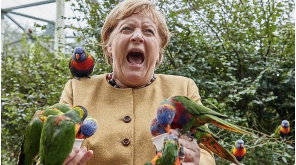 Angela Merkel a fost ”atacată” în timp ce hrănea păsările în parc