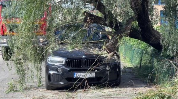 Vântul face ravagii în București, Ilfov și Constanța! Mai mulţi copaci au căzut peste mașini și rețele electrice
