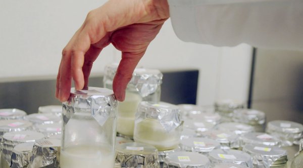 Microplasticele, detectate pentru prima dată în laptele matern. Recomandarea medicilor pentru femeile însărcinate și mamele care alăptează