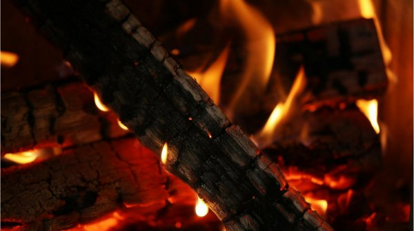 Unde se vinde cel mai ieftin lemn de foc din România, sub preţul guvernului