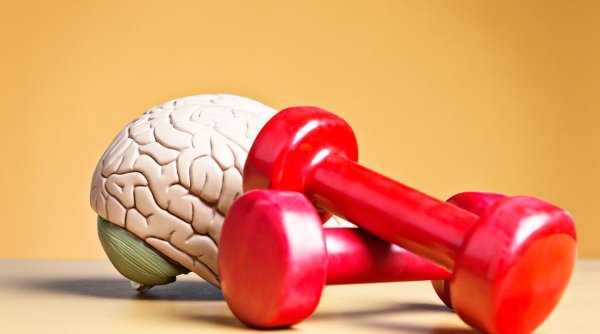 Exercițiile fizice care stimulează activitatea creierului și îmbunătățesc memoria, în doar şase minute