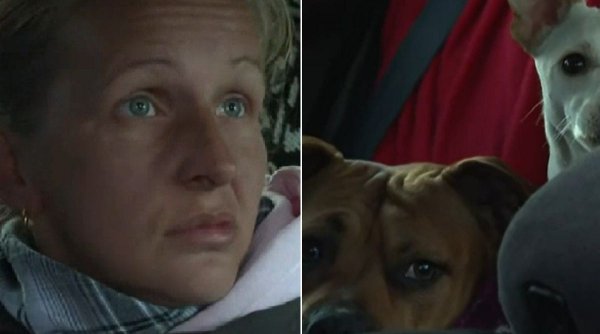 Drama unei românce din Spania care trăiește într-o mașină, alături de doi câini: 
