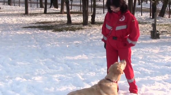 O nouă echipă de câini salvatori din România a ajuns în Turcia | 