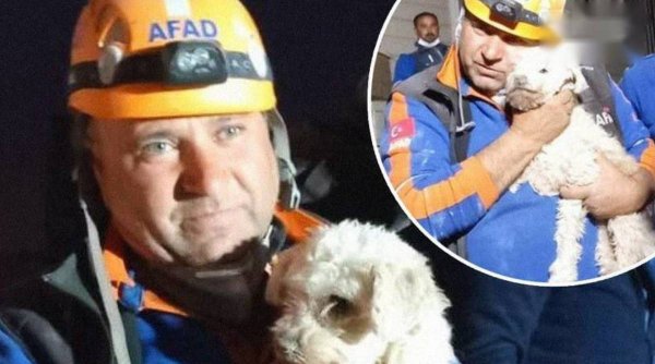 Un câine a fost găsit în viaţă la 25 de zile de la cutremurul devastator din Turcia