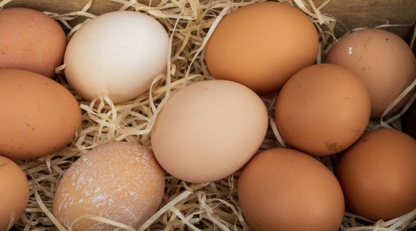 Cât a ajuns să coste un ou de ţară | Este mai scump decât un kilogram de mere