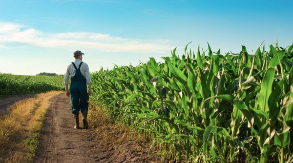 Mai multe state europene, inclusiv România, cer soluţii pentru fermierii afectaţi de cerealele ucrainene