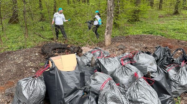 Curățenia de Paște în pădurea Lucianca - o inițiativă Sarantis România împreună cu Let’s Do It România