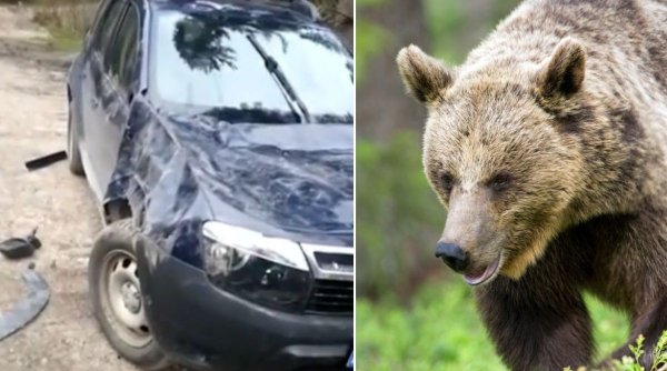 Alertă în Bucegi! Maşina unui cabanier a fost distrusă de un urs pentru a doua oară