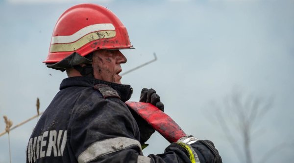 Incendiu puternic în Tulcea. 20 de hectare de stuf sunt în flăcări