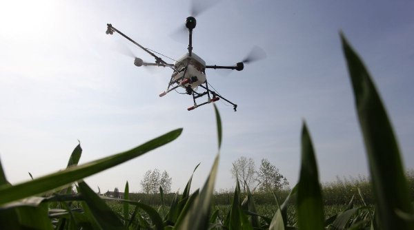 Doctorul din aer: dronele care depistează și tratează bolile plantelor