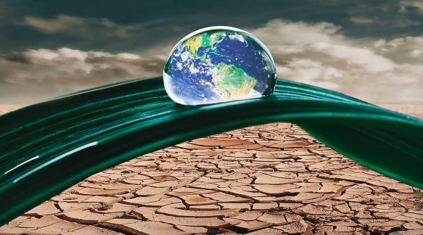 Alertă de secetă: Europa rămâne fără apă | Avertismentul experţilor de la Observatorul European