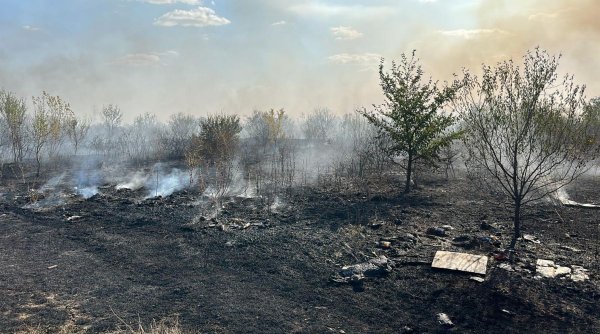 Incendiu de vegetație în Buftea, Ilfov: 10 autospeciale ISU intervin pentru oprirea acestuia