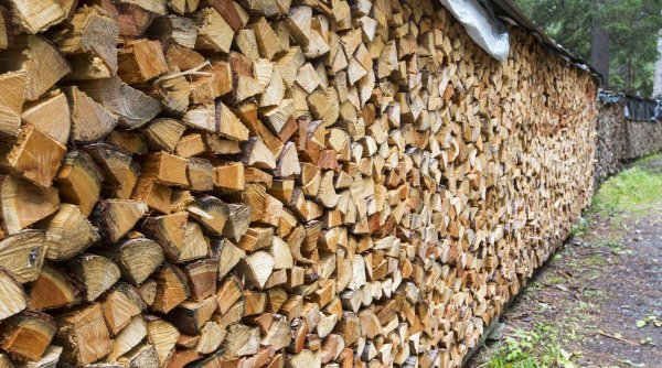 Prețul lemnelor de foc în toamna lui 2023. Românii vor plăti mai mult pentru căldură, iarna aceasta