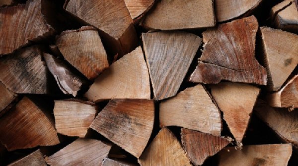 Ajutor de la stat pentru românii care au nevoie de lemne pentru foc. Metoda inedită a autorităților de a face rost de bani