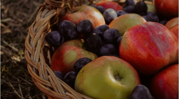 Motivul pentru care să nu depozitezi niciodată merele alături de alte fructe