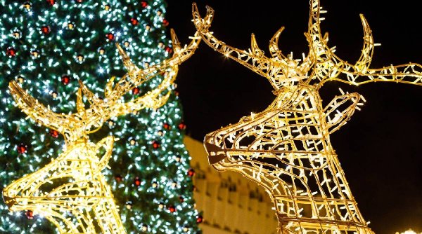 Atracțiile Târgului de Crăciun din Timișoara. Surpriza pregătită pentru vizitatori: 