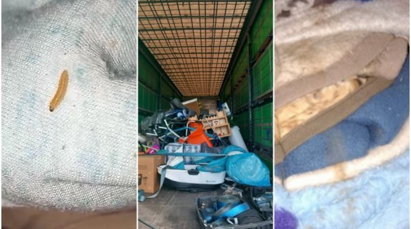 Cadouri de Crăciun cu viermi, descoperite în camioane cu donaţii pentru ONG-uri din ţară, la Borș II