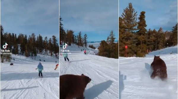 Clipe de coşmar pentru sute de turişti: Un urs a alergat printre oameni pe pârtia de schi