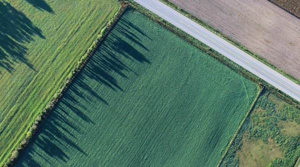 Cât costă un hectar de teren arabil în România | Datele oficiale de la INS