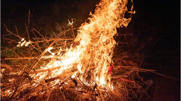 Amenda pe care o riscă românii care dau foc la resturile de vegetație în 2024