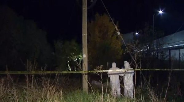 Cadavrul unei femei, găsit în stare de putrefacţie pe un deal, în Petroşani