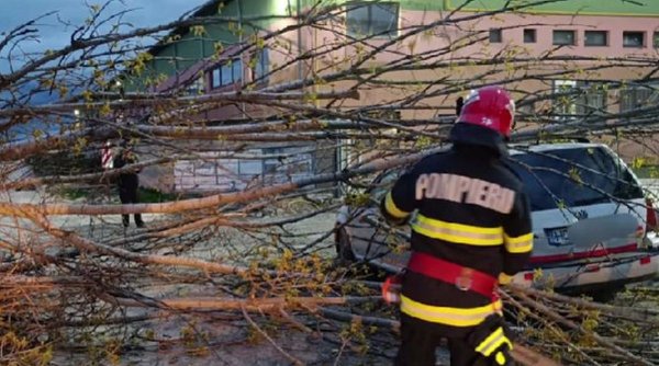 Vremea rea face prăpăd în țară: acoperișul unui bloc a fost spulberat și mai mulți copaci au fost doborâți de vânt, la Hunedoara