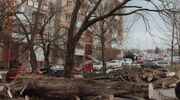 Vântul cu putere de uragan a făcut ravagii în România: a distrus zeci de case și mașini, a rupt sute de copaci și a băgat un om în comă