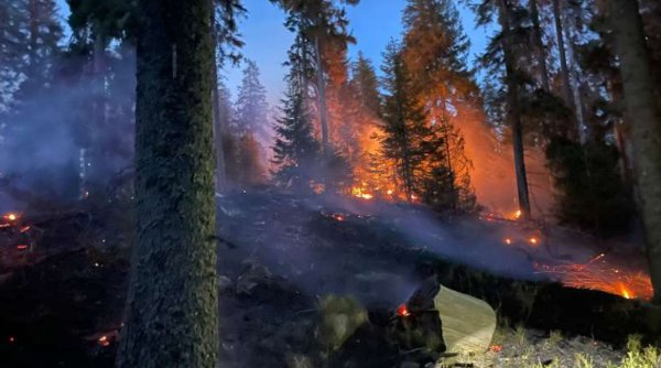Un incendiu de pădure din zona Lăpuşna s-a extins pe circa 40 de hectare din cauza vântului