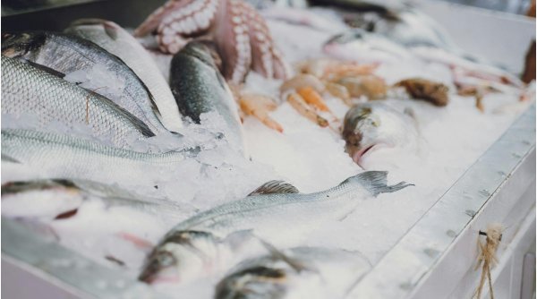 Atenție de unde cumpărați pește! | Autoritatea Națională Sanitară Veterinară și pentru Siguranța Alimentelor a aplicat amenzi în valoare de 150.000 de lei 