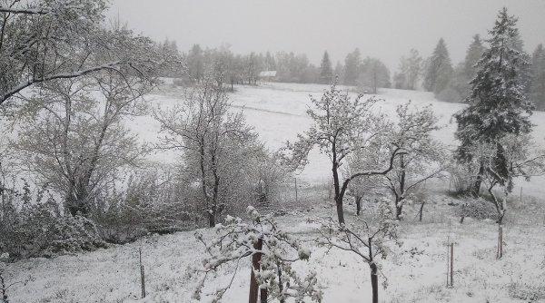 Iarna s-a întors în România! A nins puternic în mai multe zone ale țării, iar ANM anunță că precipitațiile se extind