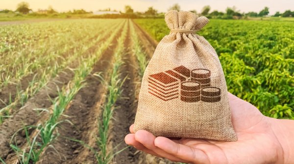 Subvenții APIA 2024 | Data până la care fermierii români mai pot depune cererile