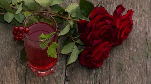 Trandafirata, rețeta care face furori printre gospodine. Cum se prepară băutura dulce și aromată din petale de trandafiri