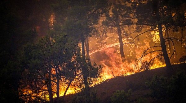Incendiu masiv de pădure, la Nord de Atena