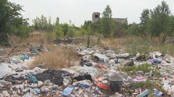 Dezastru ecologic într-un cartier din Sectorul 1. Oamenii trăiesc cu gunoaiele la poartă