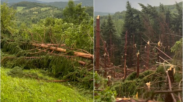 VIDEO Maramureșul, devastat de furtuni: Un bărbat a murit lovit de fulger. O pădure a fost doborâtă de vânt