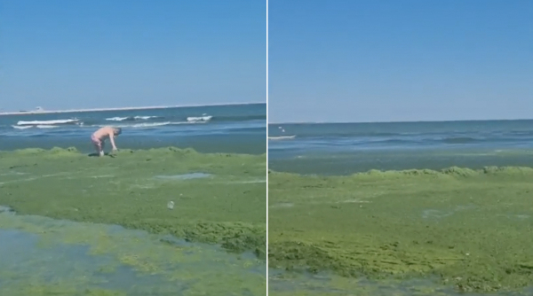 „Intri om, ieși Shrek”: Turiștii de pe litoral fac slalom printre munții de alge de la malul mării
