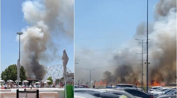 Incendiu puternic lângă București. A luat foc vegetația uscată din apropierea unui centru comercial din Chiajna
