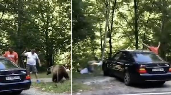 Momentul în care doi turiști inconștienți se apropie la câțiva centimetri de un urs, ca să își facă selfie, iar unul dintre ei este atacat de animal