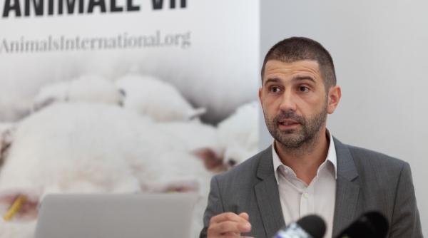 Newsweek: Viață de ONG-ist, protector al urșilor: Gabriel Păun - 12.000 € pe lună, 7 mașini și vilă la Viena