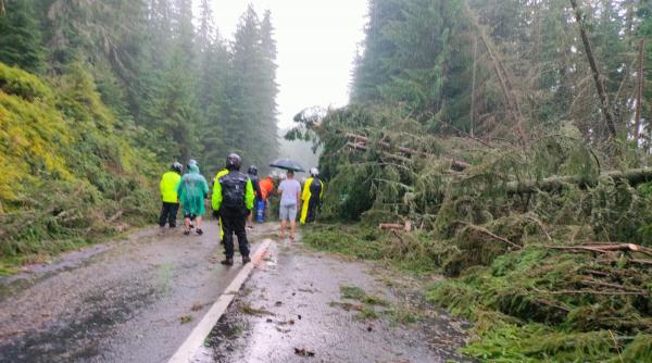 Furtună puternică în județul Alba: copaci căzuți pe drum, 50 de mașini blocate. Cod galben de vijelii în trei județe