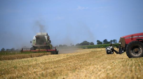 România a fost cel mai mare exportator de grâu din UE în ultimele săptămâni