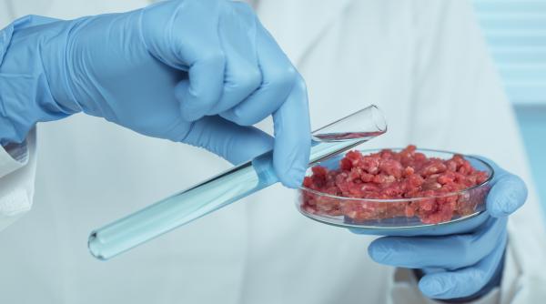 Primul tip de carne artificială a fost aprobat pentru comercializare în Europa. Cine o poate consuma
