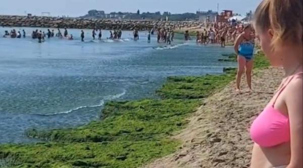 Turiştii de pe litoral fac slalom printre munți de alge. „Trebuie să vină cineva să le cureţe”