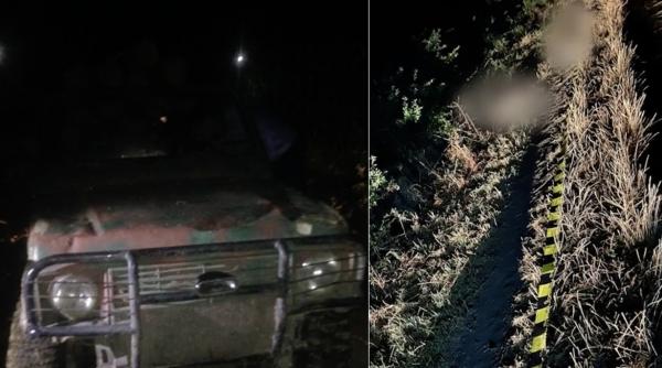 Un bărbat din Mureş a fost reţinut după ce a lovit cu maşina o turmă de mistreţi, s-a întors și a trecut iar peste ei