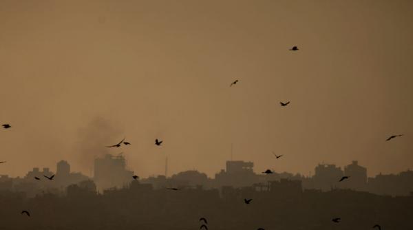 OMS avertizează că pot apărea noi epidemii în Fâșia Gaza: „Suntem foarte îngrijorați. Riscul e mare”