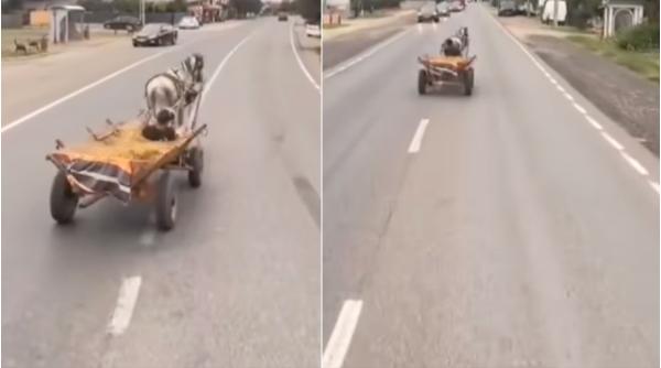 Un bărbat a pus viața mai multor șoferi în pericol: Circula haotic cu căruța, pe un drum național din Târgoviște