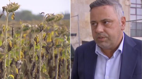 Ministrul Agriculturii a anunțat cu cât vor fi despăgubiți fermierii români afectați de secetă: „Suntem în discuții și cu băncile”