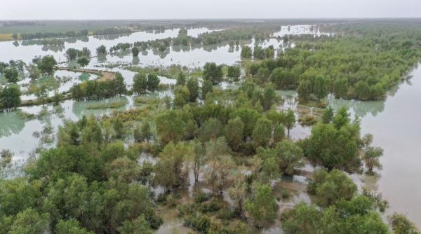 Peste 100 de morţi şi 100 de dispăruţi în China, după ploile torenţiale din ultimele zile